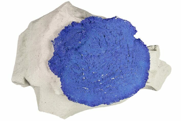 Vibrant Blue Azurite Sun on Siltstone - Australia #188464